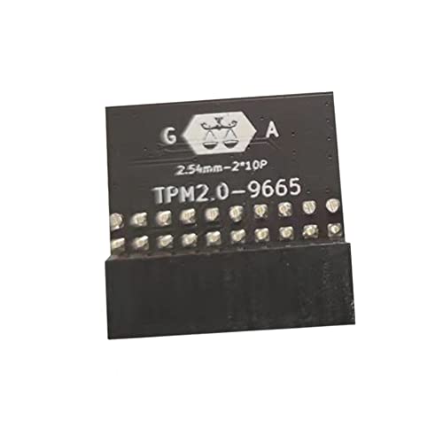 Bumdenuu LPC-Modul 20-polig für TPM-L R2.0/Gigabyte GC-TPM2.0, vertrauenswürdiges Plattformmodul, kompatibel mit 20-Pin 20-1 L2P7 von Bumdenuu