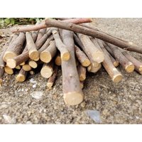 100% Natürliche Apfel Zweige Kaninchen Kauspielzeug Zähne Meerschweinchen | 5Er Set 100% Natürliche Apfel Zweige Kaninchen Kauspielzeug Zähne Meerschweinchen | 5Er Set von BunnyTreatBoutique