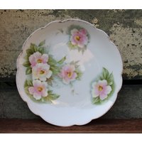 Antik, Rosenthal Teller, Bavaria, Blümchenteller, Kleiner Dessertteller, Rosa Und Grün von BuntysBitsandBobs