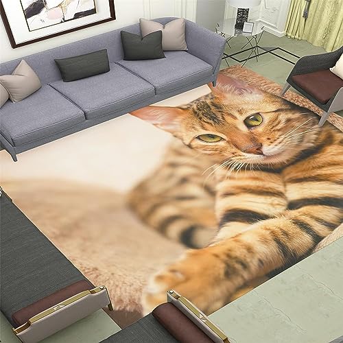 Buohwiwe 3D Teppich Katze - Modern Schlafzimmer Flanell Teppich Katze Wohnzimmer Teppich - Dekoration Carpet rutschfeste Teppiche 120 x 170 cm von Buohwiwe