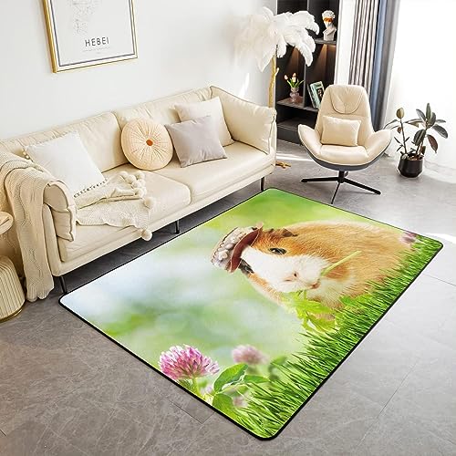 Buohwiwe 3D Teppich Meerschweinchen - Modern Schlafzimmer Flanell Teppich Meerschweinchen Wohnzimmer Teppich - Dekoration Carpet rutschfeste Teppiche 120 x 170 cm von Buohwiwe