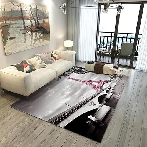 Buohwiwe 3D Teppich Paris - Modern Schlafzimmer Flanell Teppich Paris Wohnzimmer Teppich - Dekoration Carpet rutschfeste Teppiche 100x150 cm von Buohwiwe