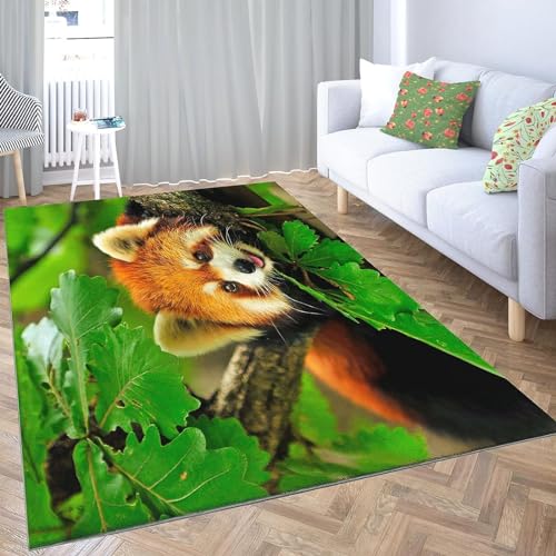 Buohwiwe 3D Teppich Roter Panda - Modern Schlafzimmer Flanell Teppich Roter Panda Wohnzimmer Teppich - Dekoration Carpet rutschfeste Teppiche 100x150 cm E167 von Buohwiwe
