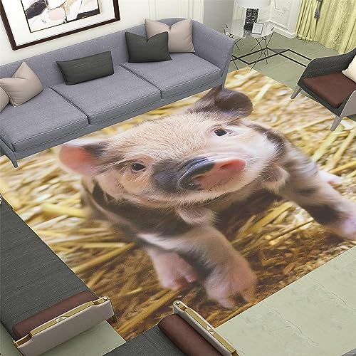 Buohwiwe 3D Teppich Schwein - Modern Schlafzimmer Flanell Teppich Schwein Wohnzimmer Teppich - Dekoration Carpet rutschfeste Teppiche 100x150 cm von Buohwiwe