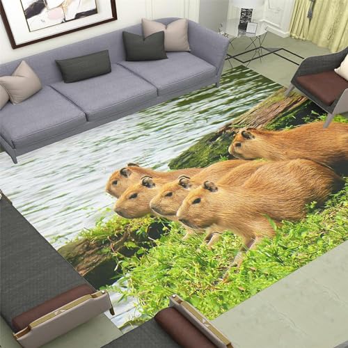 Buohwiwe 3D Teppich Wasserschwein - Modern Schlafzimmer Flanell Teppich Wasserschwein Wohnzimmer Teppich - Dekoration Carpet rutschfeste Teppiche 60x100 cm von Buohwiwe