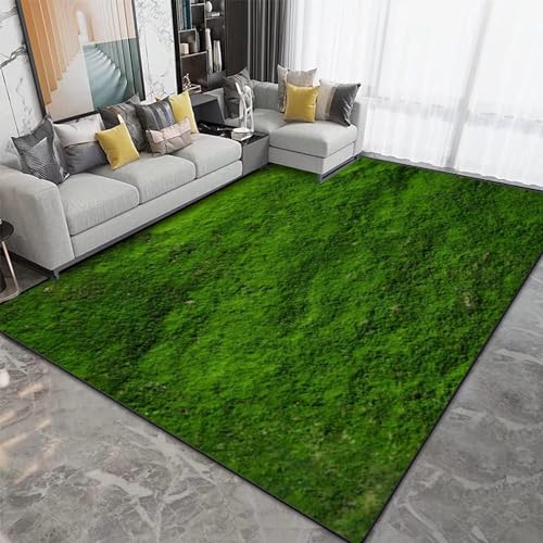 Buohwiwe 3D Teppich Wiese - Modern Schlafzimmer Flanell Teppich Wiese Wohnzimmer Teppich - Dekoration Carpet rutschfeste Teppiche 60x100 cm n2691 von Buohwiwe