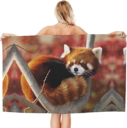 Buohwiwe Roter Panda Strandtuch 90x180 cm, Weich Schnell Trocknen Microfaser Handtücher, 3D Strandhandtuch Roter Panda Strandtücher Badetuch Strandlaken Handtuch Herren Frauen Badetücher von Buohwiwe