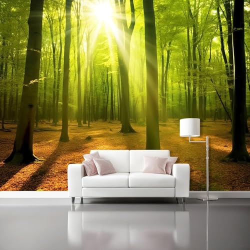 Fototapete Bäume Tapete 430 x 300 cm (WxH) Fototapeten Schlafzimmer Wohnzimmer Moderne 3D Effekt Wandtapete Naturlandschaft Vliestapete Wand Dekoration Poster Foto Tapeten q.4891 von Buohwiwe