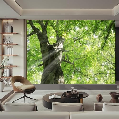Fototapete Baumlandschaft Tapete 350 x 256 cm (WxH) Fototapeten Schlafzimmer Wohnzimmer Moderne 3D Effekt Wandtapete Natur Vliestapete Wand Dekoration Poster Foto Tapeten q.3169 von Buohwiwe