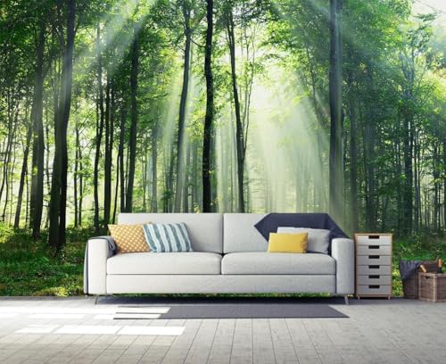 Fototapete Natur Tapete 350 x 256 cm (WxH) Fototapeten Schlafzimmer Wohnzimmer Moderne 3D Effekt Wandtapete Waldlandschaft Vliestapete Wand Dekoration Poster Foto Tapeten q.3016 von Buohwiwe
