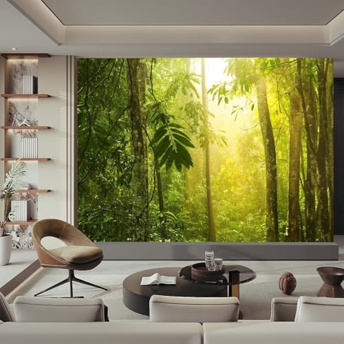 Fototapete Wald Tapete 250 x 175 cm (WxH) Fototapeten Schlafzimmer Wohnzimmer Moderne 3D Effekt Wandtapete Naturlandschaft Vliestapete Wand Dekoration Poster Foto Tapeten q.4041 von Buohwiwe