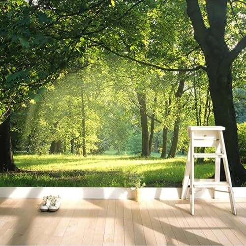 Fototapete Waldlandschaft Tapete 200 x 140 cm (WxH) Fototapeten Schlafzimmer Wohnzimmer Moderne 3D Effekt Wandtapete Natur Vliestapete Wand Dekoration Poster Foto Tapeten q.2842 von Buohwiwe