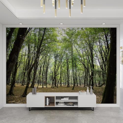 Fototapete Waldlandschaft Tapete 200 x 140 cm (WxH) Fototapeten Schlafzimmer Wohnzimmer Moderne 3D Effekt Wandtapete Natur Vliestapete Wand Dekoration Poster Foto Tapeten q.3238 von Buohwiwe