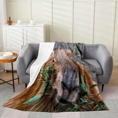 Kuscheldecke Flauschig 130x150 Wasserschwein 3D Decke Tiere Und Pflanzen Flanell Fleecedecke Weich und Warme Wohndecken Kuscheldecken Sofa Bett Überwurfdecke Sofadecke Couch Blanket Y4391 von Buohwiwe