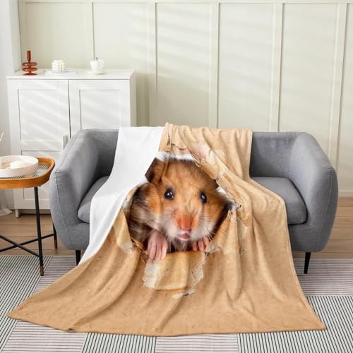 Kuscheldecke Flauschig 150x200 Hamster 3D Decke Süße Tiere Flanell Fleecedecke Weich und Warme Wohndecken Kuscheldecken Sofa Bett Überwurfdecke Sofadecke Couch Blanket Y4672 von Buohwiwe