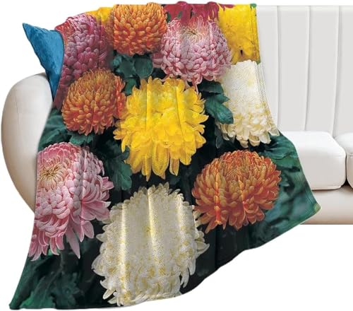 Kuscheldecke Flauschig Chrysantheme 3D Decke 100x135 Blumen Wohndecke Schönheit Weich und Warme Flanell Fleecedecke für Sofadecke Couchdecke Tagesdecke 4628y von Buohwiwe