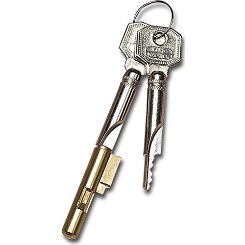 BURG WÄCHTER Schlüssellochsperrer E7, gleichsperrend, mit 2 Schlüsseln von Burg Wächter