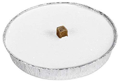 Burgenstern Flammschale Flammdose Outdoorkerze Gartenkerze Partykerze Feuerschale (10 Stück, Flammschale) von Burgenstern