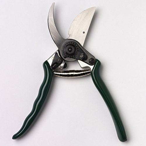 Burgon & Ball RHS empfohlene professionelle Bypass-Gartenschere, 22 cm Länge Burgon & Ball RHS empfohlene professionelle Bypass-Gartenschere, 22 cm Länge von Burgon & Ball