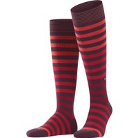 Burlington Kniestrümpfe "Blackpool" gestreift, blickdicht, passend von Gr. 40-46 atmungsaktiv Burlington Kniestrümpfe "Blackpool" gestreift, blickdicht, passend von Gr. 40-46 atmungsaktiv von Burlington