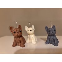 Hunde Kerze | Bulldogge Frenchie Besondere Scented Candle Geschenkidee Dog Animal Puppy Vegan von BurritoCandles