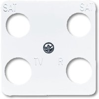 1743-04-214 Zentralscheibe 50 x 50 mm - Busch-jaeger von Busch-Jaeger