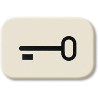 2525 tr Tastersymbol Schlüssel - Busch-jaeger von Busch-Jaeger