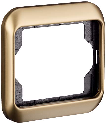 Busch-Jaeger 1721-21 Abdeckrahmen Busch-Jaeger 1721-21 Abdeckrahmen von Busch-Jaeger