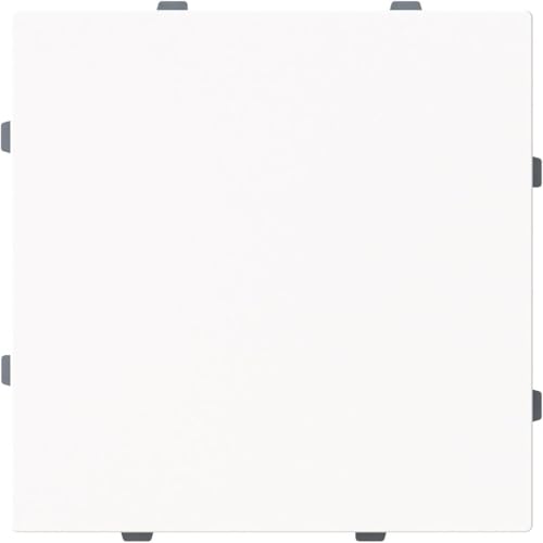 Busch-Jaeger 1742-44M Zentralscheibe Blindabdeckung mit Tragring, Busch-art linear, studioweiß matt (2CKA001710A4212) von Busch-Jaeger