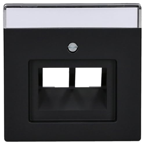 Busch-Jaeger 1803-02-885 Zentralscheibe 2-Fach Schwarz Matt Plattform 63 2CKA001710A3911 von Busch-Jaeger