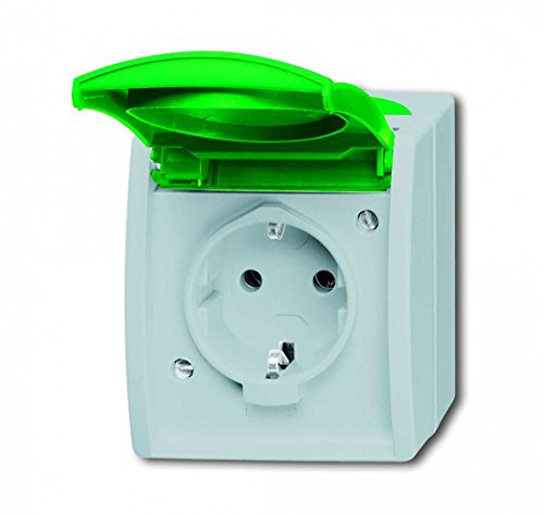 Busch-Jaeger 20 EWN-13-53 SCHUKO® Steckdose mit grünem Klappdeckel (Thermoplast) Grau ocean® (IP 44) 2CKA002083A0819 von Busch-Jaeger