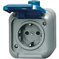 Busch-Jaeger 2300 EWSI SCHUKO® Steckdose 2-polig von Busch-Jaeger