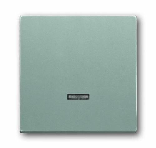 Busch-Jaeger 2309679 BUSC Zentralscheibe 6543-83-101, bunt von Busch-Jaeger