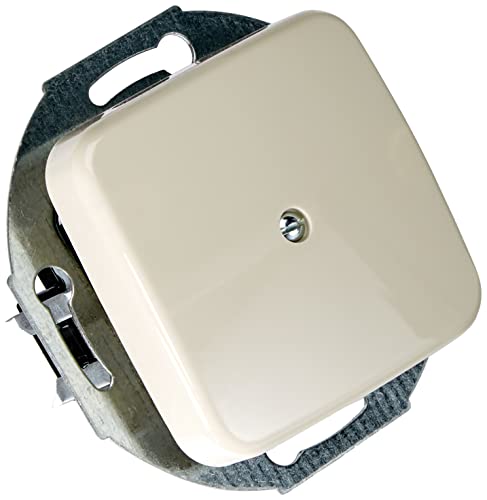 Busch-Jaeger 2527-212 Zentralscheibe mit Tragring Blindabdeckung (Duroplast) Cremeweiß Busch-Duro 2000 SI 2CKA001710A0623 von Busch-Jaeger