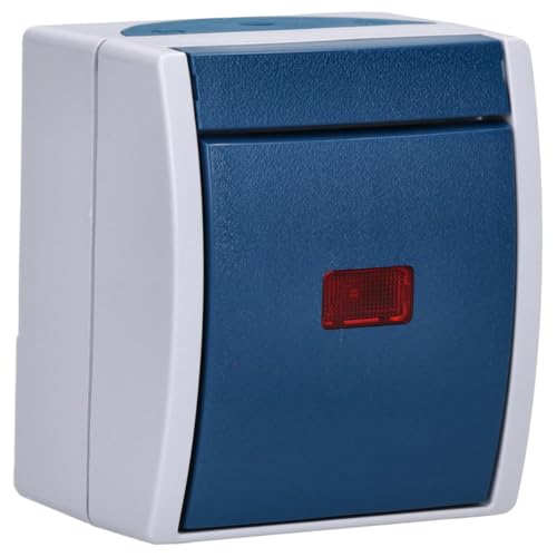 Busch-Jaeger 2601/6 SKW-53 Wippkontrollschalter Aus- und Wechselschaltung (Thermoplast) Grau ocean® (IP 44) 2CKA001085A1607 von Busch-Jaeger