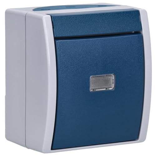 Busch-Jaeger 2601/6 WGL-53 Wippschalter Aus- und Wechselschaltung (Thermoplast) Grau ocean® (IP 44) 2CKA001085A1613 von Busch-Jaeger