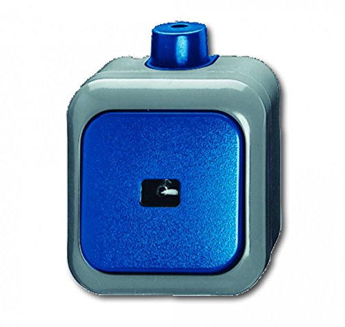 Busch-Jaeger BUSC AP-Taster 2621 WDI, bunt von Busch-Jaeger