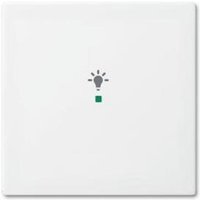 Busch-Jaeger 6231-10-914 Wippe 1-fach, mit Symbol "Licht" von Busch-Jaeger