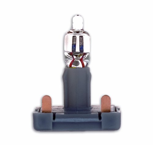 Busch-Jaeger BUSC Glimmlampe 8353 lichtstark, bunt von Busch-Jaeger