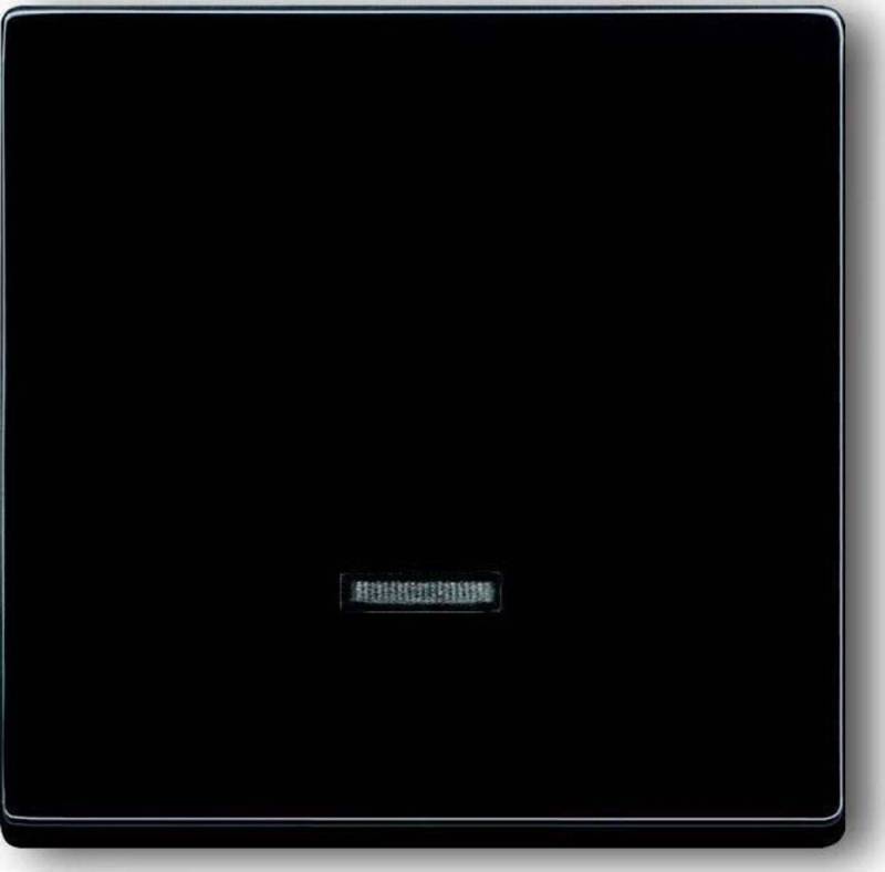 Busch-Jaeger Abdeckrahmen Busch-Jaeger Bedienelement 6543-81-101 von Busch-Jaeger