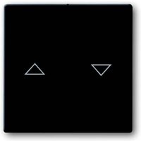 Busch-Jaeger Abdeckung Jalousie-Schalter Future Linear Anthrazit, Schwarz-Grau 2CKA001751A2934 von Busch-Jaeger