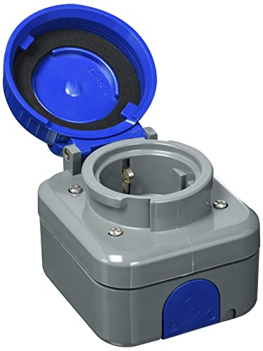 Busch-Jaeger BUSC AP-Steckdose SCHUKO 2300 EWDI, bunt von Busch-Jaeger