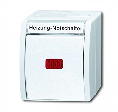 Busch-Jaeger 2601/6 SKWNH-54 Wippkontrollschalter/Heizungsschalter Aus- und Wechselschaltung (Thermoplast) Alpinweiß ocean® (IP 44) 2CKA001085A1631 von Busch-Jaeger