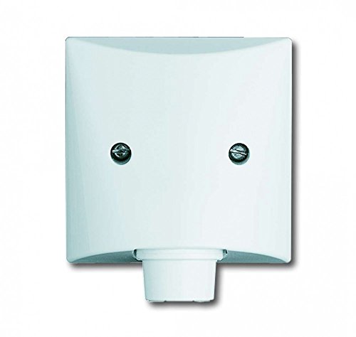 Busch-Jaeger BUSC Zentralscheibe 2133-32 AW44, bunt von Busch-Jaeger