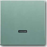 Busch-Jaeger Bedienelement alusi f.St.gerät,Dim.Re.Ei 6543-83-101 Busch-Jaeger Bedienelement alusi f.St.gerät,Dim.Re.Ei 6543-83-101 von Busch-Jaeger