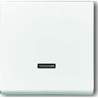 Busch-Jaeger Bedienelement dav/sws f.St.gerät,Dim.Re.Ei 6543-84-101 Busch-Jaeger Bedienelement dav/sws f.St.gerät,Dim.Re.Ei 6543-84-101 von Busch-Jaeger