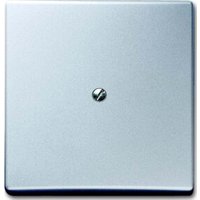 Busch-Jaeger Blindzentralscheibe alusil mit Tragring 2138-33 von Busch-Jaeger