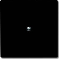 Busch-Jaeger Blindzentralscheibe anth mit Tragring 2138-35 Busch-Jaeger Blindzentralscheibe anth mit Tragring 2138-35 von Busch-Jaeger