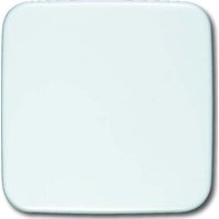 Busch-Jaeger Blindzentralscheibe aws 54x54mm 1576 C-214 von Busch-Jaeger