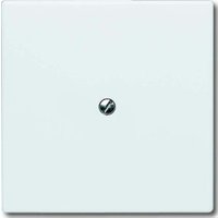 Busch-Jaeger Blindzentralscheibe aws mit Tragring 2138-34 von Busch-Jaeger